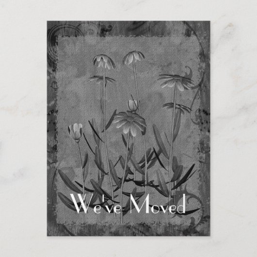 デイジーアート新しい住所フローラはがき 案内ポストカード (正面)