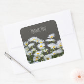 デイジーオングレイありがとう スクエアシール (封筒)