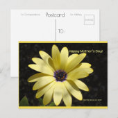 デイジーオンマザーズデイ | ブルービーチソング™はがき ポストカード (正面/裏面)