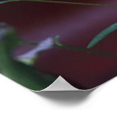 デイジーオン赤 ポスター (角)