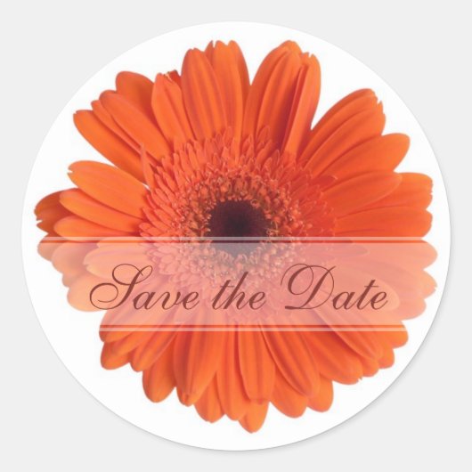 デイジーカスタムフローラルシール ラウンドシール (正面)