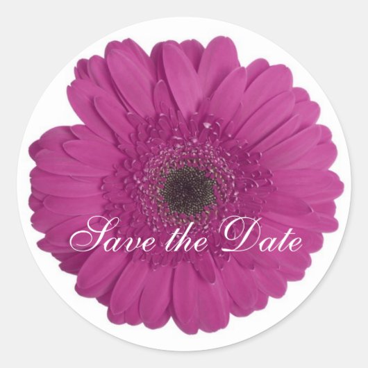 デイジーカスタムフローラルシール ラウンドシール (正面)