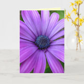 デイジーカードワイルドフラワーカスタムのグリーティングカード カード (黄色い花)