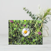 デイジーカード (スタンド正面)