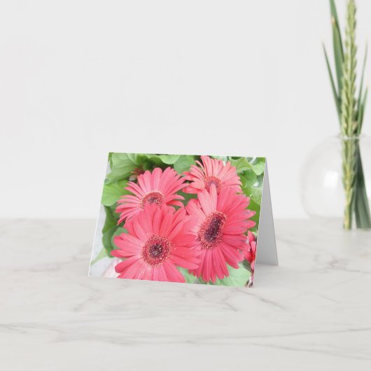 デイジーカード カード (正面)