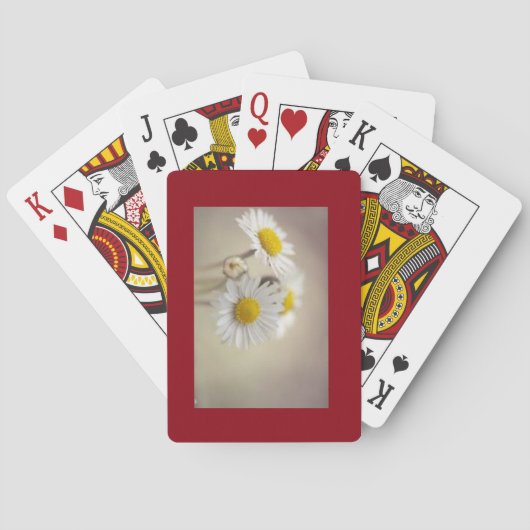 デイジーカード トランプ (裏面)