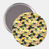 デイジーガロール…... マグネット (正面/裏面)