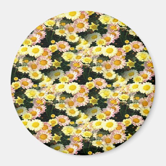 デイジーガロール…... マグネット (正面)