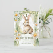 デイジーガーデンソームバニーは1つ 招待状 (スタンド正面)