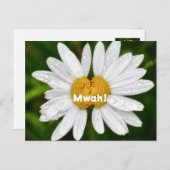 デイジーキス誕生日バレンタインラブグリーティング ポストカード (正面/裏面)