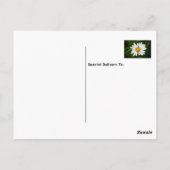 デイジーキッス バースデー バレンタイン ラブ グリーティング ポストカード (裏面)