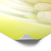 デイジーキャンバス印刷 ポスター (角)