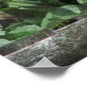 デイジークラスター風化柵 ポスター (角)