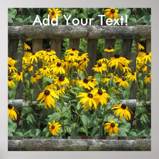 デイジークラスター風化柵 ポスター (正面)