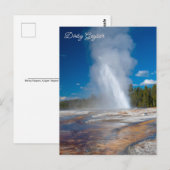 デイジーゲイエサー噴火イエローストーン国立公園 ポストカード (正面/裏面)