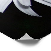 デイジーコラージュ ポスター (角)