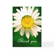 デイジーサンキューカード