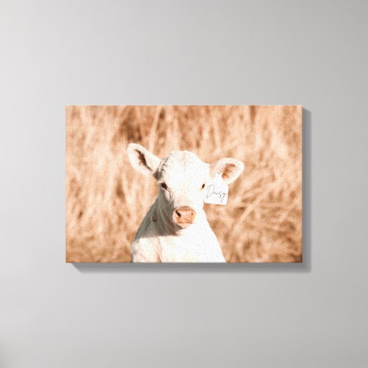 デイジーザキュートホワイトカーフインゴールデンメドウ キャンバスプリント (正面)