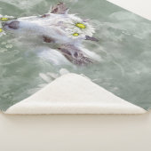 デイジーザベビーヤギ水カラーポートレート シェルパブランケット (3/4)