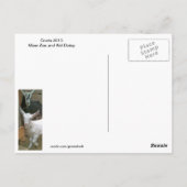 デイジーザ・キッド・ヤギ葉書 ポストカード (裏面)