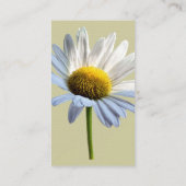 デイジーシャドウとライト 名刺 (裏面)