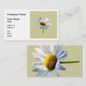 デイジーシャドウとライト 名刺 (正面/裏面)