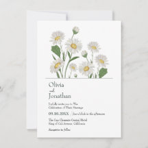 デイジーシンプルワイルドガーデン