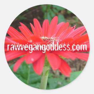 デイジーシール ラウンドシール