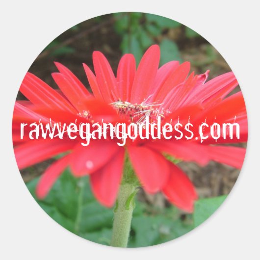 デイジーシール ラウンドシール (正面)