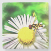 デイジーストーンコースター ストーンコースター (正面)