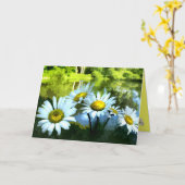 デイジーズアットポンド誕生日 カード (黄色い花)