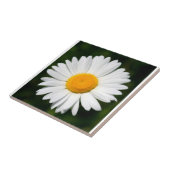 デイジータイル タイル (側面)