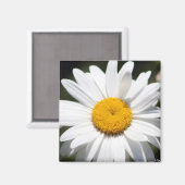 デイジーダーリング マグネット (正面/裏面)