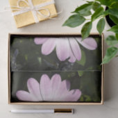 デイジーティッシュペーパー 薄葉紙 (ギフト)