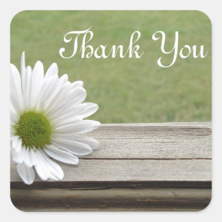 デイジーテーマ スクエアシール