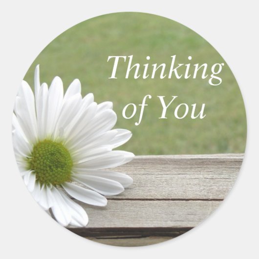 デイジーテーマ ラウンドシール (正面)