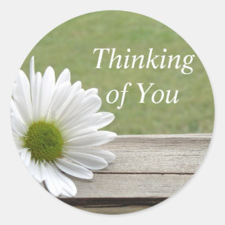 デイジーテーマ ラウンドシール