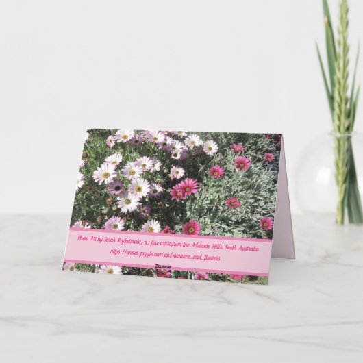 デイジーデイジーピンク赤い花フローラありがとう カード (裏面)