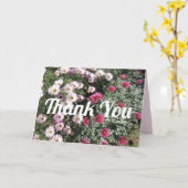 デイジーデイジーピンク赤い花フローラありがとう カード (黄色い花)