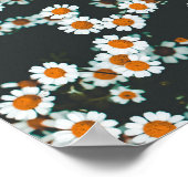 デイジーデイジーフローラ ポスター (角)