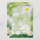 デイジーデイジー花フローラ夏の保存日付 セーブザデート (正面/裏面)