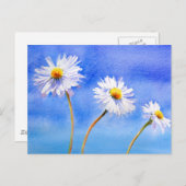 デイジーデイジー ポストカード (正面/裏面)