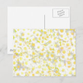 デイジーデイジー ポストカード (正面/裏面)