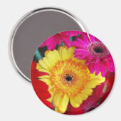 デイジーデイジー～磁石 マグネット (正面/裏面)