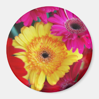 デイジーデイジー~磁石 マグネット