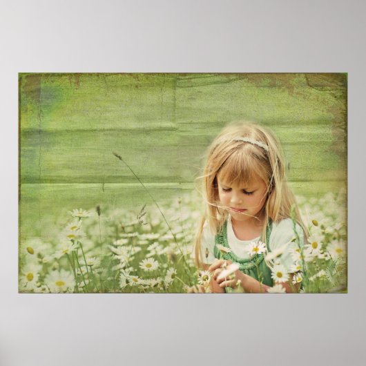 デイジーデイドリームス ポスター (正面)