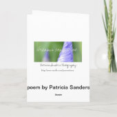 デイジードリーム感動的ポエムカード カード (裏面)