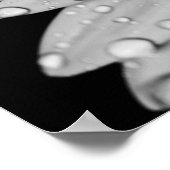 デイジードロップレット(白黒) ポスター (角)