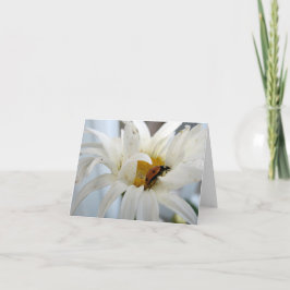 デイジーノートカー空白のドのLadybug カード