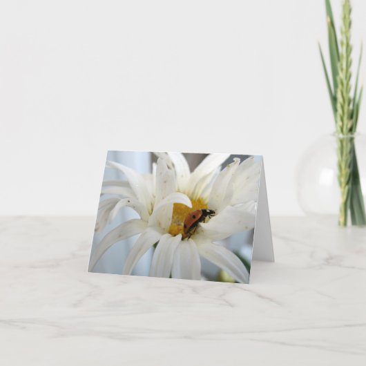 デイジーノートカー空白のドのLadybug カード (正面)